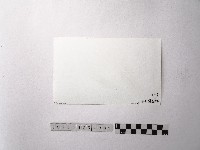 黃則修攝野柳地景燭臺石藏品圖，第2張