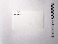 黃則修攝野柳地景藏品圖，第2張