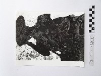 黃則修攝野柳地景藏品圖，第1張