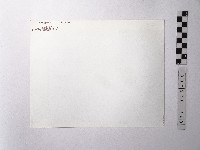 黃則修攝野柳地景藏品圖，第2張