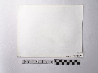 黃則修攝野柳地景燭臺石藏品圖，第2張