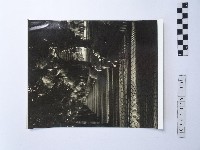 黃則修攝男孩藏品圖，第1張