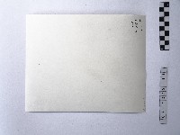 黃則修攝男孩藏品圖，第2張