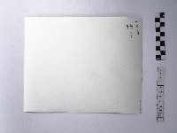 黃則修攝男孩藏品圖，第2張