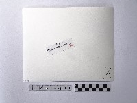 黃則修攝湖面藏品圖，第2張