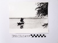 黃則修攝帆船藏品圖，第1張