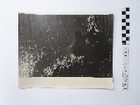 黃則修攝女子藏品圖，第1張