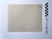 黃則修攝女子藏品圖，第2張