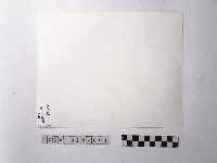 黃則修攝盤根錯節的裩藏品圖，第2張