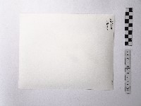 黃則修攝鯉魚噴水池藏品圖，第2張