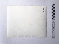 黃則修攝鯉魚噴水池與指南宮藏品圖，第2張