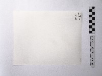 黃則修攝樹根特寫照片藏品圖，第2張