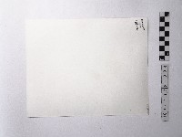 黃則修攝男子藏品圖，第2張