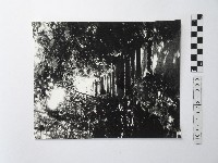 黃則修攝階梯藏品圖，第1張