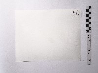 黃則修攝階梯藏品圖，第2張