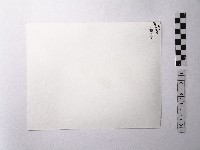 黃則修攝階梯藏品圖，第2張