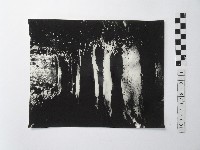 黃則修攝階梯藏品圖，第1張