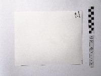 黃則修攝階梯藏品圖，第2張