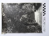 黃則修攝人群藏品圖，第1張