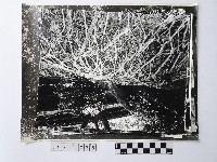 黃則修攝指南宮系列照片藏品圖，第1張