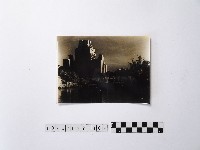 黃則修攝大安公園藏品圖，第1張