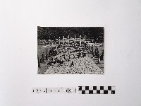 黃則修攝舞龍舞獅藏品圖，第1張