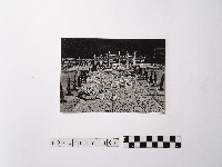 黃則修攝舞龍舞獅藏品圖，第1張