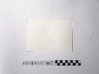 黃則修攝舞龍舞獅藏品圖，第2張