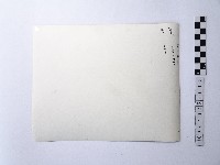 黃則修攝三峽祖師廟藏品圖，第2張