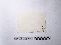 黃則修攝魚群水中優游藏品圖，第2張