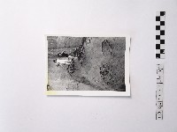 黃則修攝懸崖上的美女－凌波、鄭慶寧藏品圖，第1張