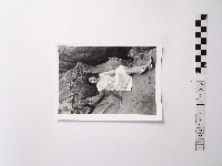 黃則修攝野柳的稀客－凌波藏品圖，第1張