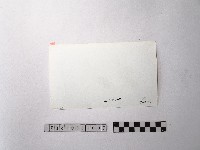 黃則修攝野柳地景ET留像藏品圖，第2張