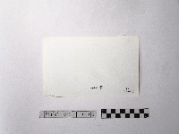 黃則修攝野柳地景ET留像藏品圖，第2張