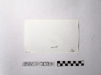 黃則修攝野柳地景ET留像藏品圖，第2張