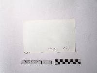 黃則修攝野柳地景ET留像藏品圖，第2張