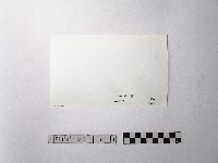 黃則修攝野柳地景ET留像藏品圖，第2張