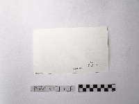 黃則修攝野柳地景ET留像藏品圖，第2張