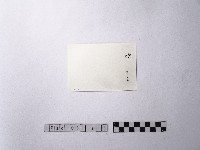 黃則修攝野柳地景藏品圖，第2張