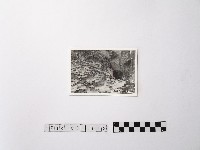 黃則修攝野柳地景後街的峭壁藏品圖，第1張