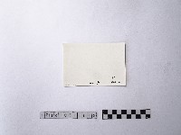 黃則修攝野柳地景後街的峭壁藏品圖，第2張