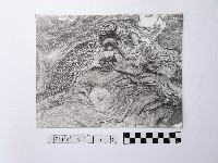 黃則修攝野柳地景藏品圖，第1張