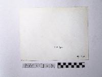 黃則修攝野柳地景藏品圖，第2張
