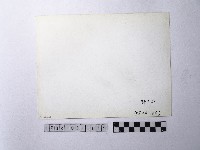 黃則修攝野柳地景藏品圖，第2張
