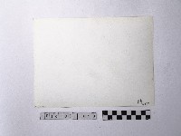 黃則修攝野柳地景藏品圖，第2張