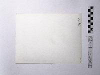 黃則修攝野柳地景樂園福德公藏品圖，第2張