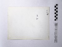 黃則修攝野柳地景樂園福德公藏品圖，第2張