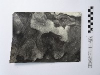 黃則修攝野柳地景藏品圖，第1張