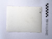 黃則修攝野柳地景藏品圖，第2張