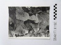 黃則修攝野柳地景藏品圖，第1張